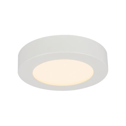 GLOBO 41605-20D - LED Ściemnialny plafon łazienkowy PAULA 1xLED/18W/230V IP44