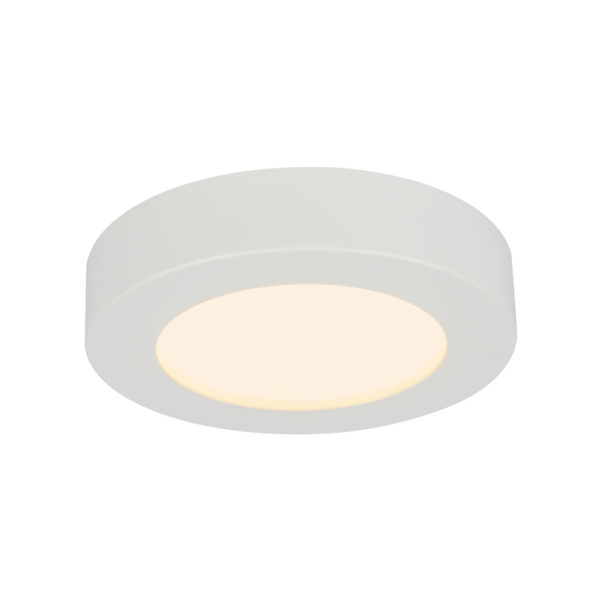 GLOBO 41605-20D - LED Ściemnialny plafon łazienkowy PAULA 1xLED/18W/230V IP44