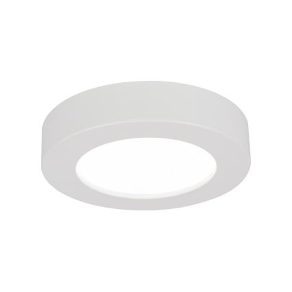 GLOBO 41605-20D - LED Ściemnialny plafon łazienkowy PAULA 1xLED/18W/230V IP44