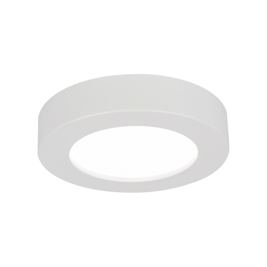 GLOBO 41605-20D - LED Ściemnialny plafon łazienkowy PAULA 1xLED/18W/230V IP44
