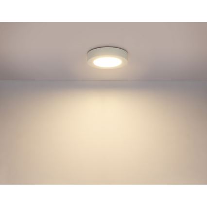 GLOBO 41605-20D - LED Ściemnialny plafon łazienkowy PAULA 1xLED/18W/230V IP44