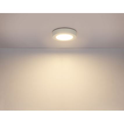 Globo - LED Ściemnialne oświetlenie łazienkowe LED/18W/230V 3000/4000/6000K IP44