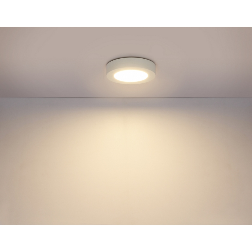 GLOBO 41605-20D - LED Ściemnialny plafon łazienkowy PAULA 1xLED/18W/230V IP44