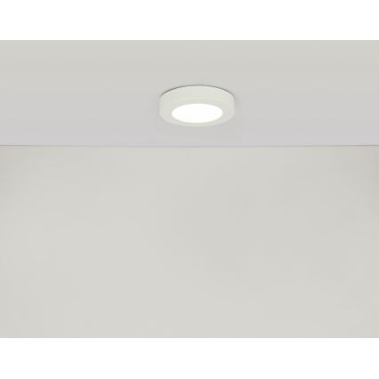 GLOBO 41605-20D - LED Ściemnialny plafon łazienkowy PAULA 1xLED/18W/230V IP44