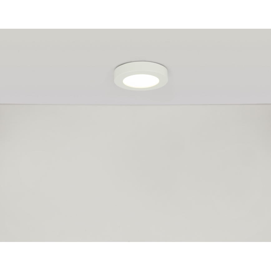 GLOBO 41605-20D - LED Ściemnialny plafon łazienkowy PAULA 1xLED/18W/230V IP44