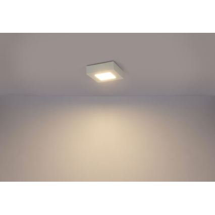 GLOBO 41606-6 - LED Plafon łazienkowy SVENJA 1xLED/6W/230V IP44