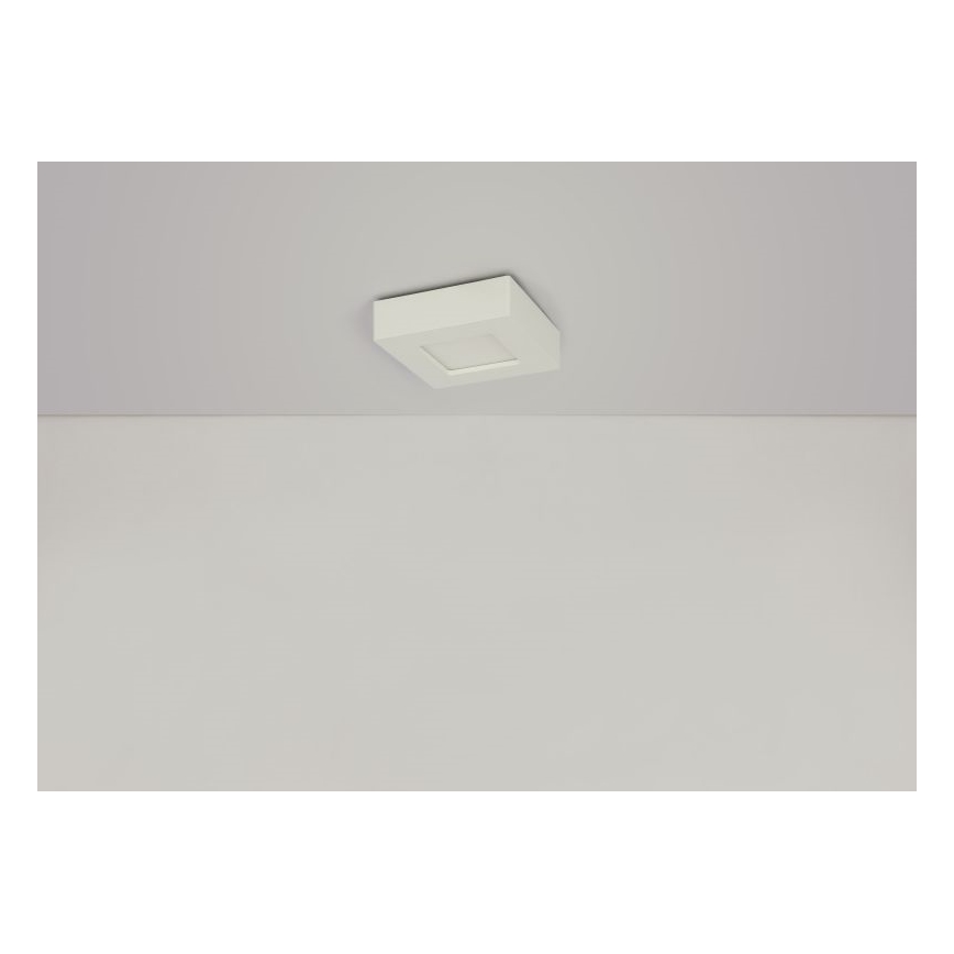 GLOBO - LED Plafon LED/6W/230V