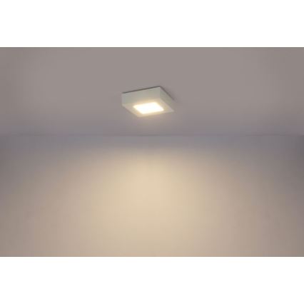 Globo - LED Plafon SVENJA 1xLED/9W/230V 3000/4000/6000K