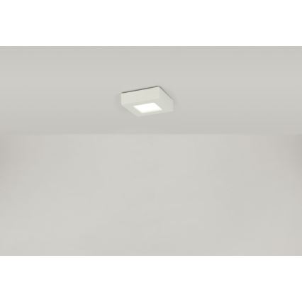 Globo - LED Plafon SVENJA 1xLED/9W/230V 3000/4000/6000K