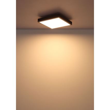 Globo - LED Plafon LED/12W/230V 3000K 30x30 cm