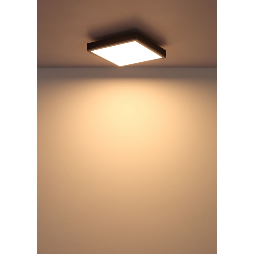 Globo - LED Plafon LED/12W/230V 3000K 30x30 cm
