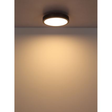 Globo - LED Plafon LED/12W/230V 3000K śr. 30 cm