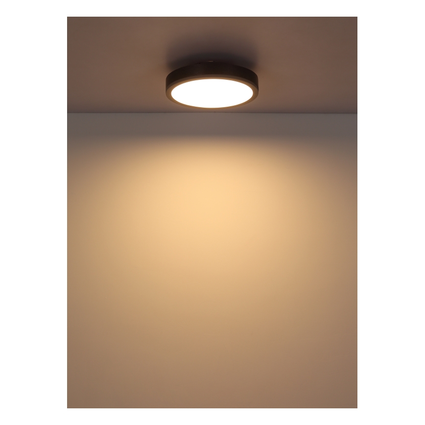 Globo - LED Plafon LED/12W/230V 3000K śr. 30 cm