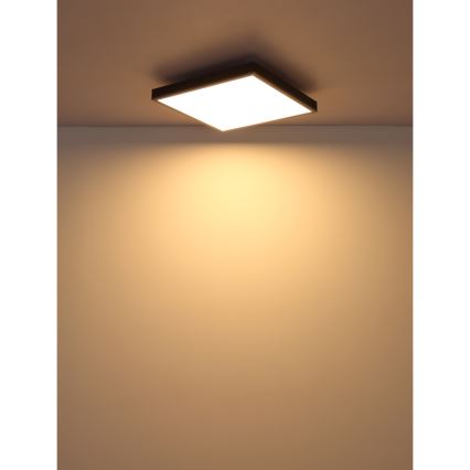 Globo - LED Plafon LED/24W/230V 3000K 45x45 cm