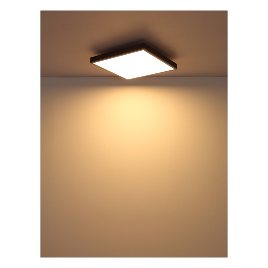 Globo - LED Plafon LED/24W/230V 3000K 45x45 cm
