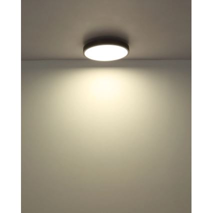 Globo - LED Ściemnialna oprawa sufitowa LED/24W/230V 2700-6500K Ø 45 cm + pilot zdalnego sterowania