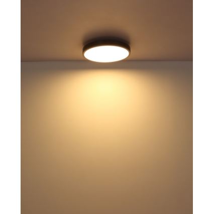 Globo - LED Plafon LED/24W/230V 3000K śr. 45 cm