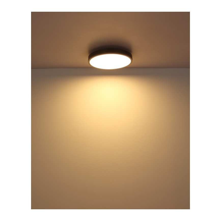 Globo - LED Plafon LED/24W/230V 3000K śr. 45 cm