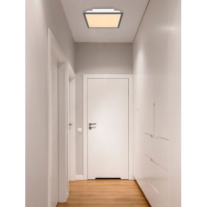 Globo - LED Plafon LED/12W + LED/4W/230V