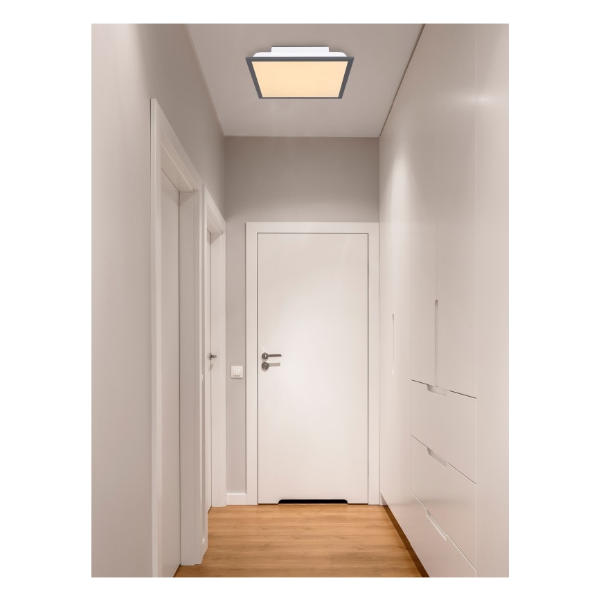 Globo - LED Plafon LED/12W + LED/4W/230V
