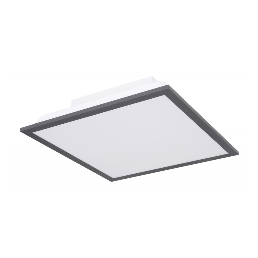 Globo - LED Plafon LED/12W + LED/4W/230V