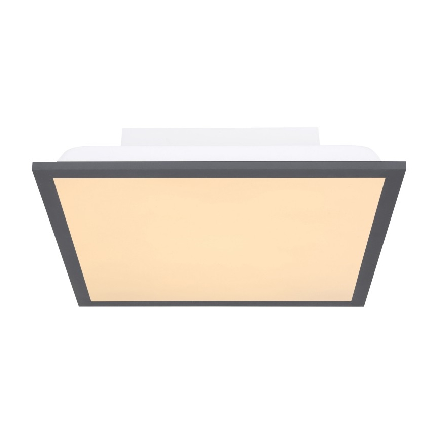Globo - LED Plafon LED/12W + LED/4W/230V