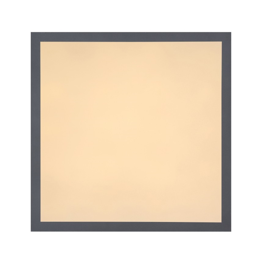 Globo - LED Plafon LED/12W + LED/4W/230V