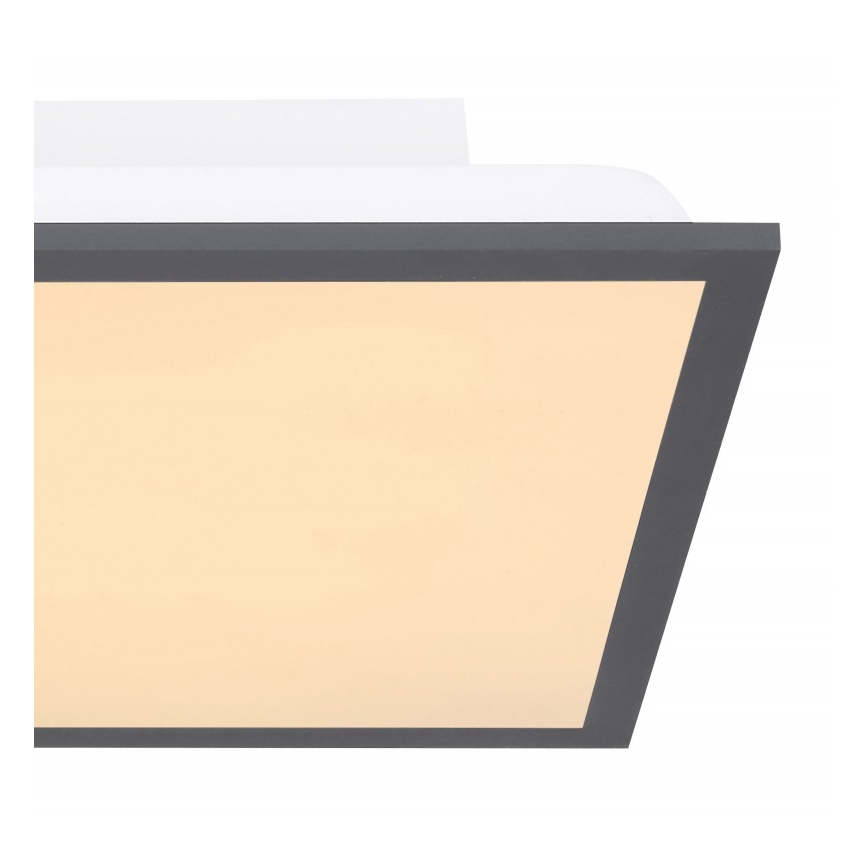 Globo - LED Plafon LED/12W + LED/4W/230V