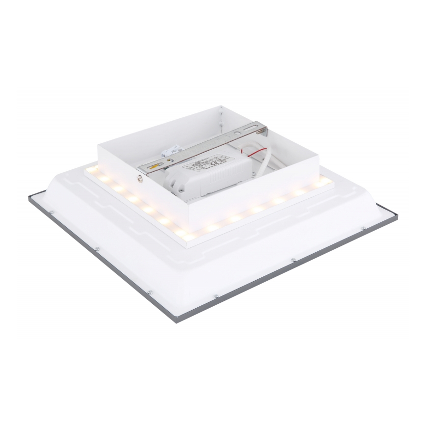 Globo - LED Plafon LED/12W + LED/4W/230V