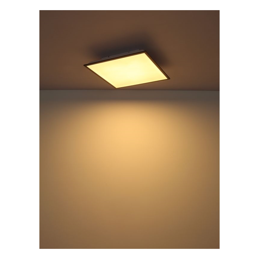 Globo - LED Plafon LED/24W/230V