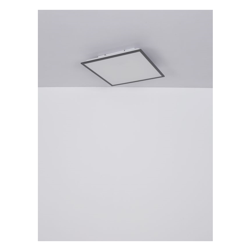 Globo - LED Plafon LED/24W/230V