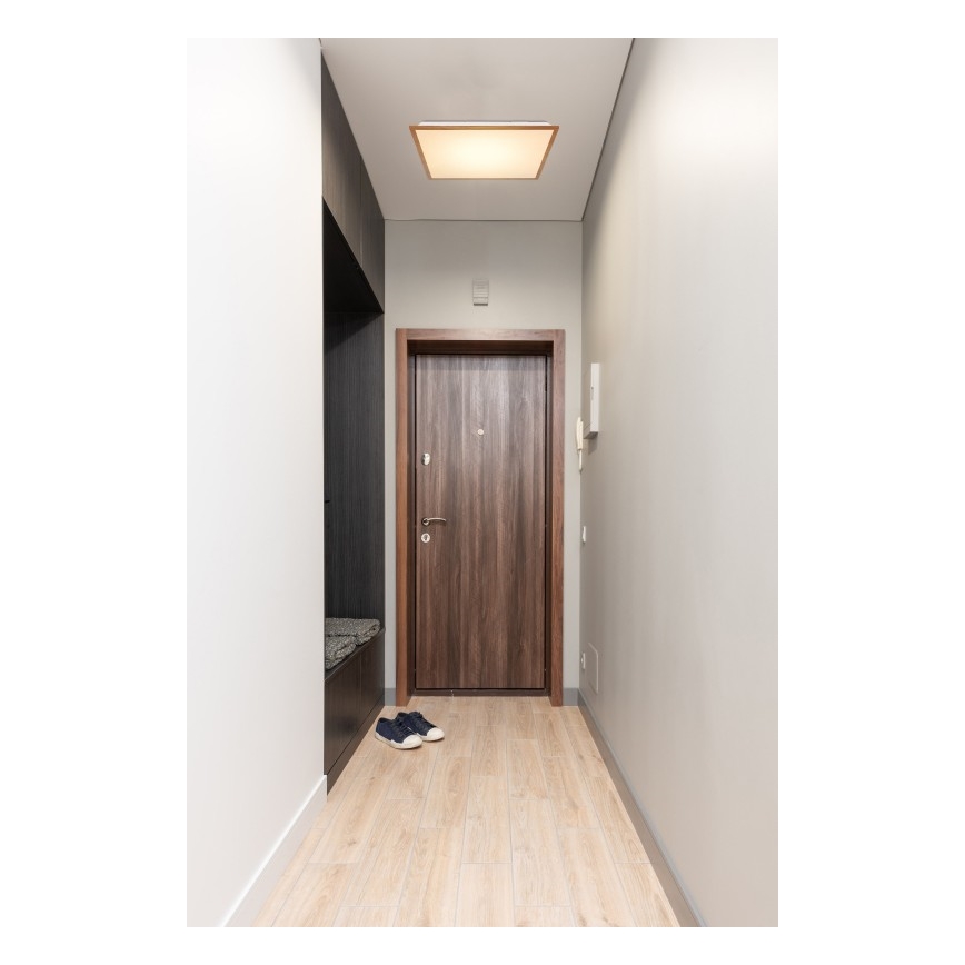Globo - LED Plafon LED/24W/230V