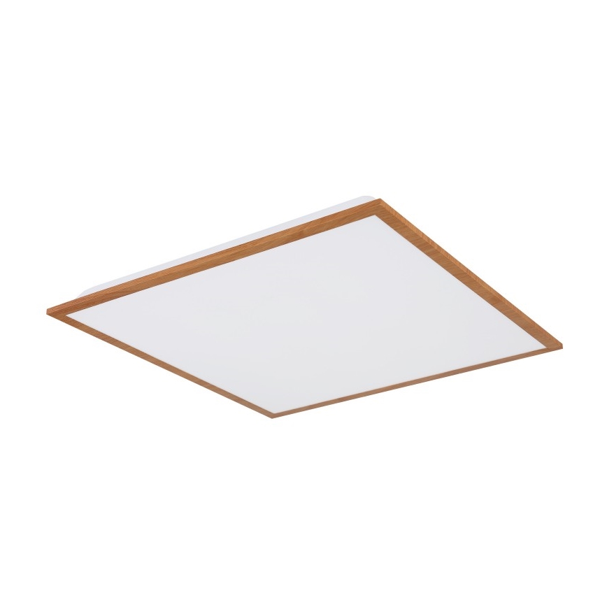 Globo - LED Plafon LED/24W/230V