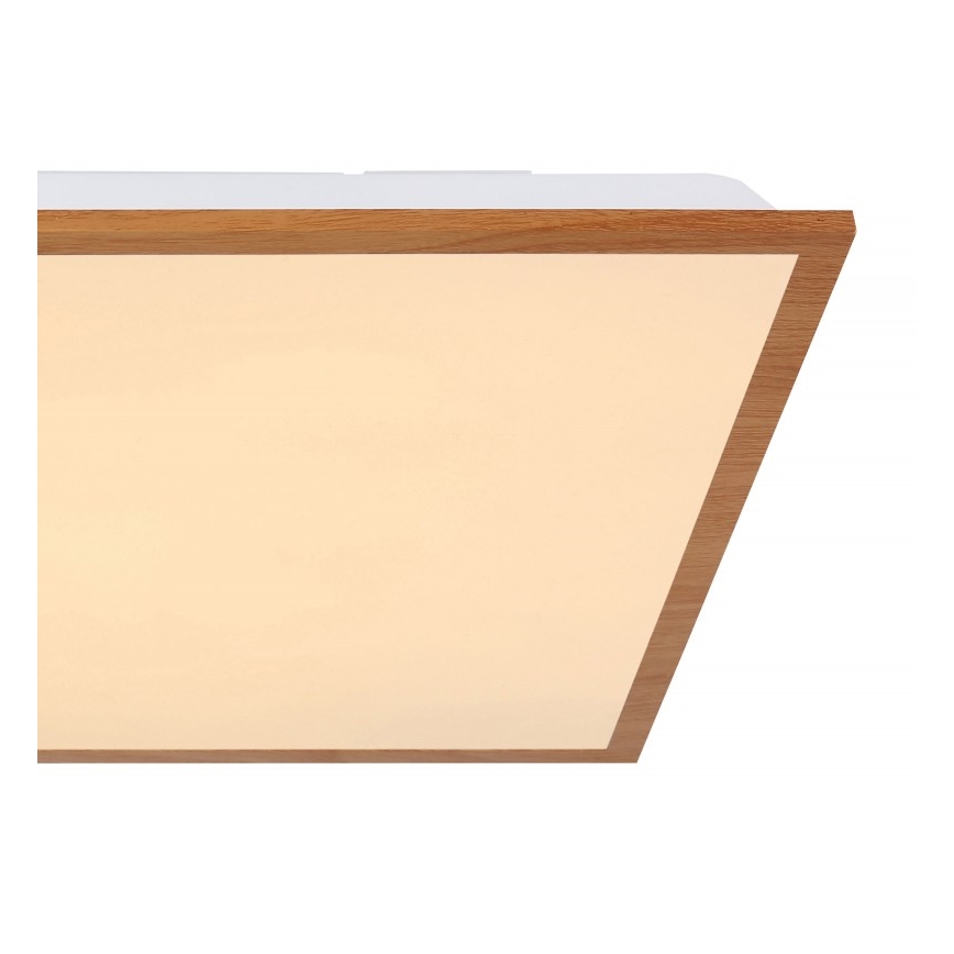 Globo - LED Plafon LED/24W/230V
