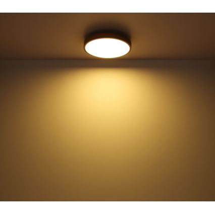 Globo - LED Plafon LED/12W/230V śr. 30 cm