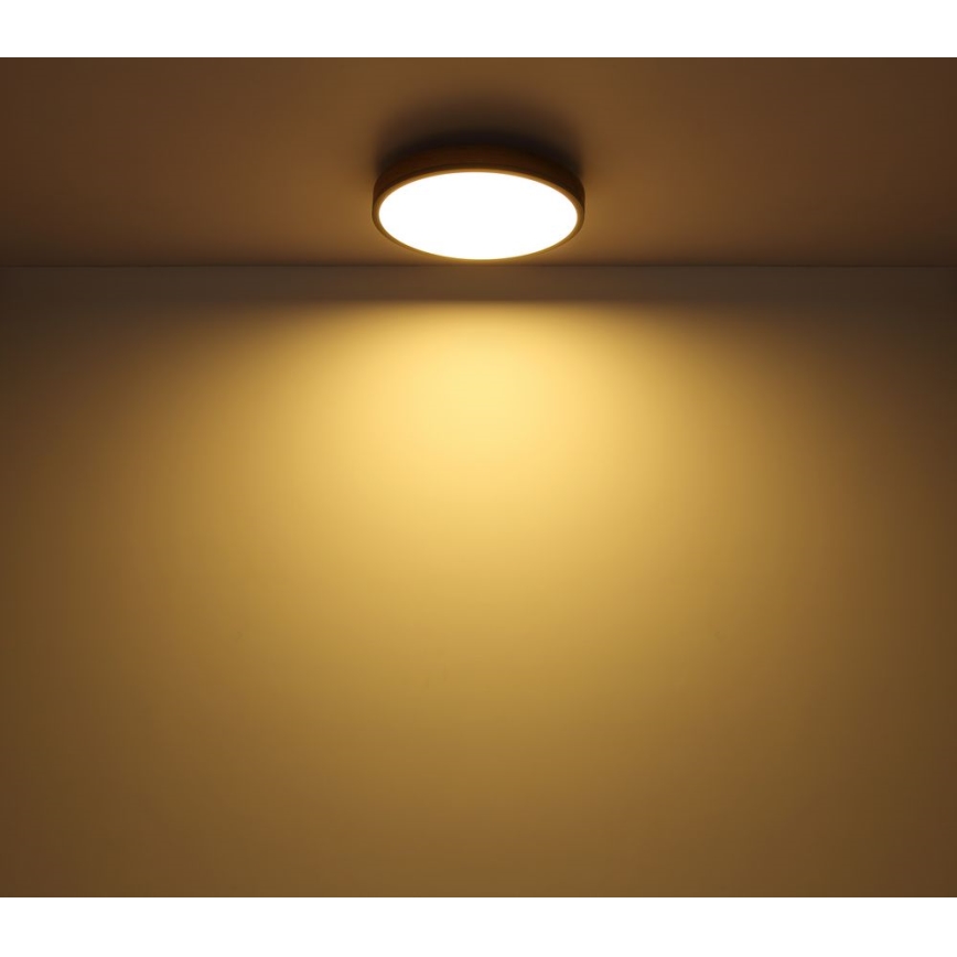 Globo - LED Plafon LED/12W/230V śr. 30 cm