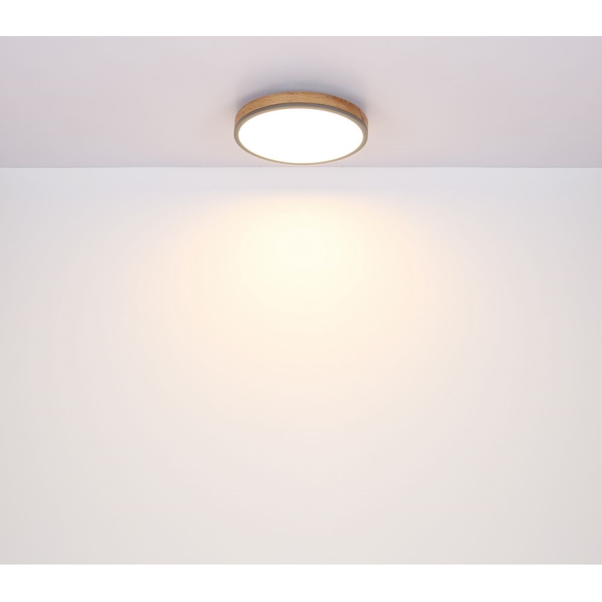 Globo - LED Plafon LED/12W/230V śr. 30 cm