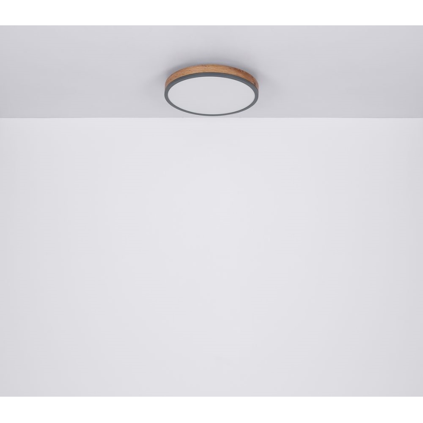 Globo - LED Plafon LED/12W/230V śr. 30 cm