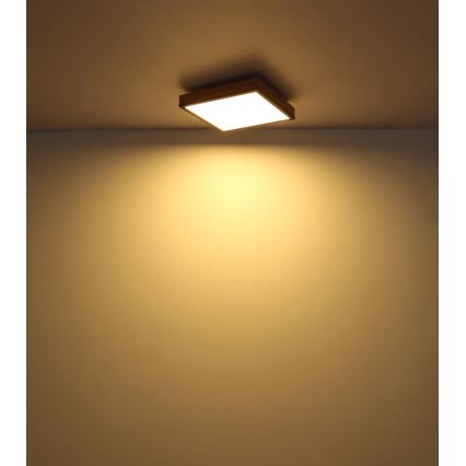 Globo - Ściemnialna oprawa sufitowa LED/24W/230V 3000-6500K 45x45 cm