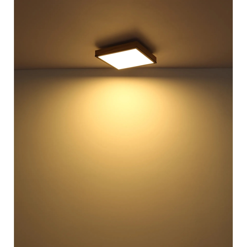Globo - Ściemnialna oprawa sufitowa LED/24W/230V 3000-6500K 45x45 cm