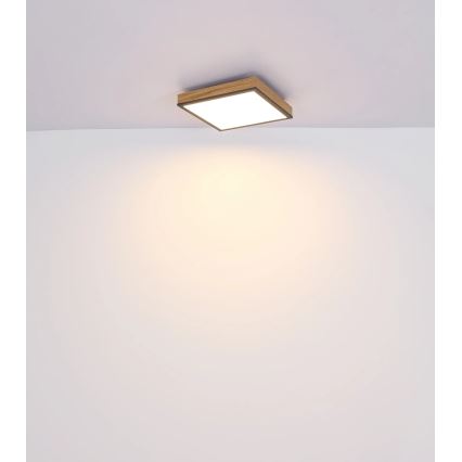 Globo - Ściemnialna oprawa sufitowa LED/24W/230V 3000-6500K 45x45 cm