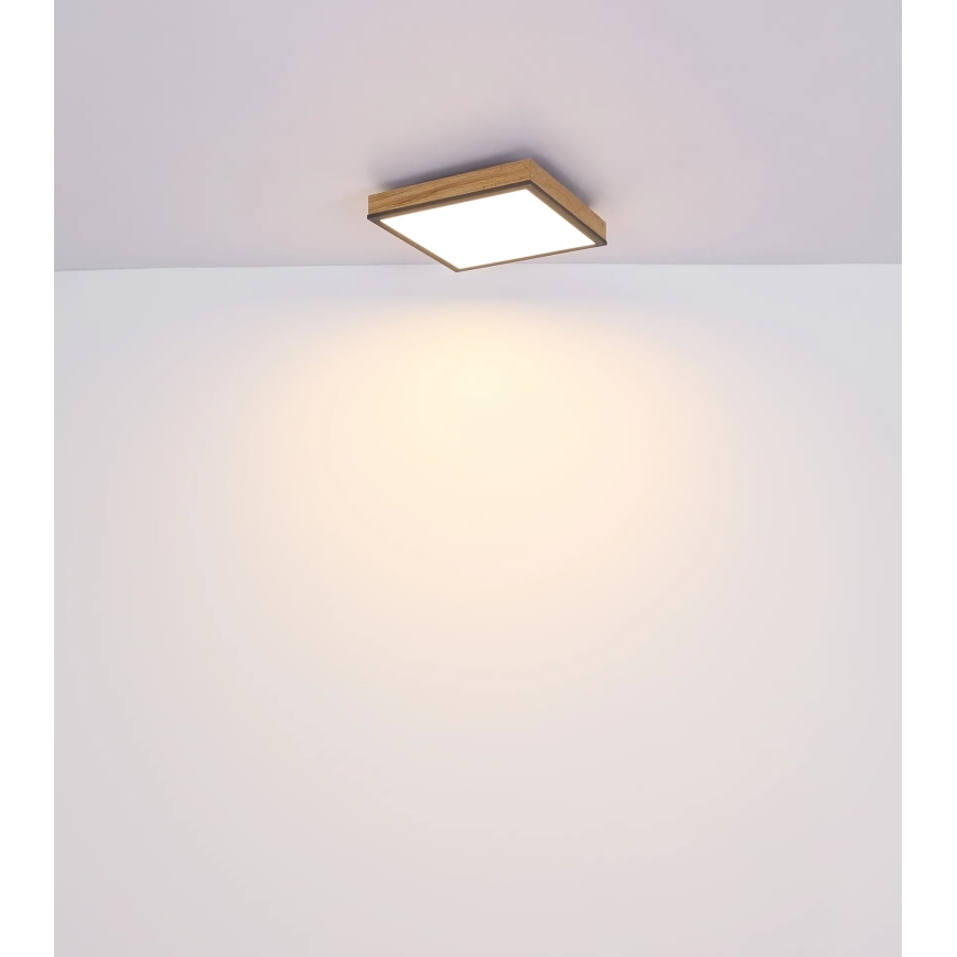 Globo - Ściemnialna oprawa sufitowa LED/24W/230V 3000-6500K 45x45 cm