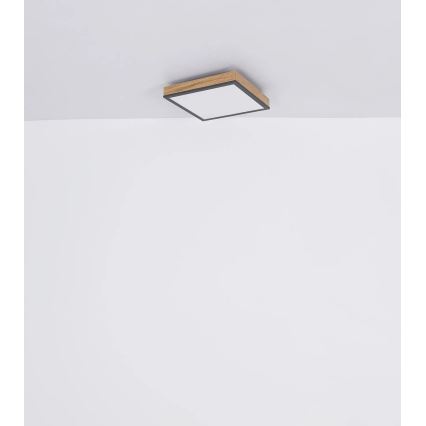 Globo - Ściemnialna oprawa sufitowa LED/24W/230V 3000-6500K 45x45 cm