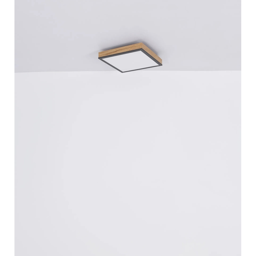Globo - Ściemnialna oprawa sufitowa LED/24W/230V 3000-6500K 45x45 cm