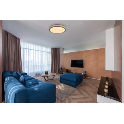 Globo - Ściemialna oprawa sufitowa LED/24W/230V 3000-6500K śr. 45 cm