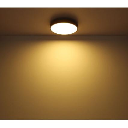 Globo - Ściemialna oprawa sufitowa LED/24W/230V 3000-6500K śr. 45 cm