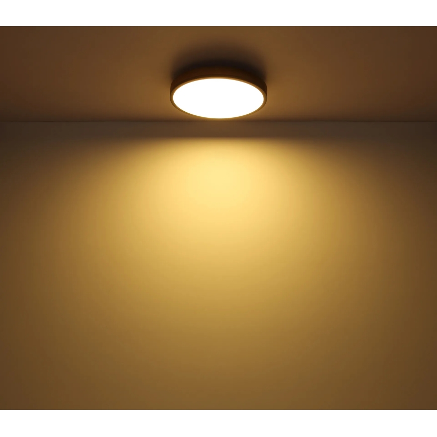 Globo - Ściemialna oprawa sufitowa LED/24W/230V 3000-6500K śr. 45 cm