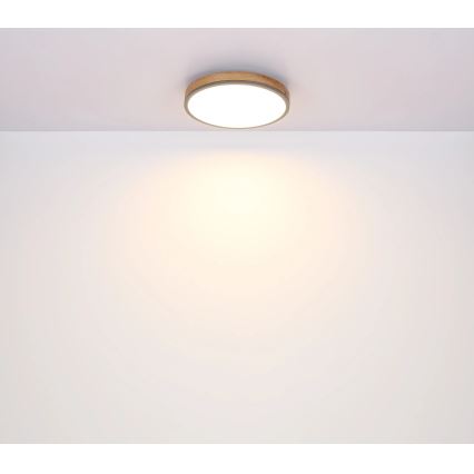 Globo - Ściemialna oprawa sufitowa LED/24W/230V 3000-6500K śr. 45 cm