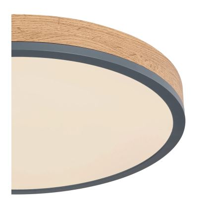 Globo - Ściemialna oprawa sufitowa LED/24W/230V 3000-6500K śr. 45 cm