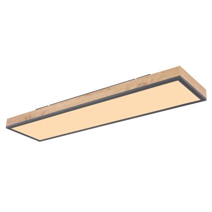 Globo - LED Plafon ściemnialny LED/24W/230V 2700-6500K + zdalne sterowanie